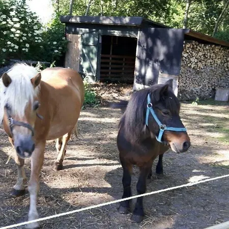Daire Ferienwohnung-himmelblau-auf-dem-ferien-bauernhof-nielson-in-bisdorf-in-inselmitte